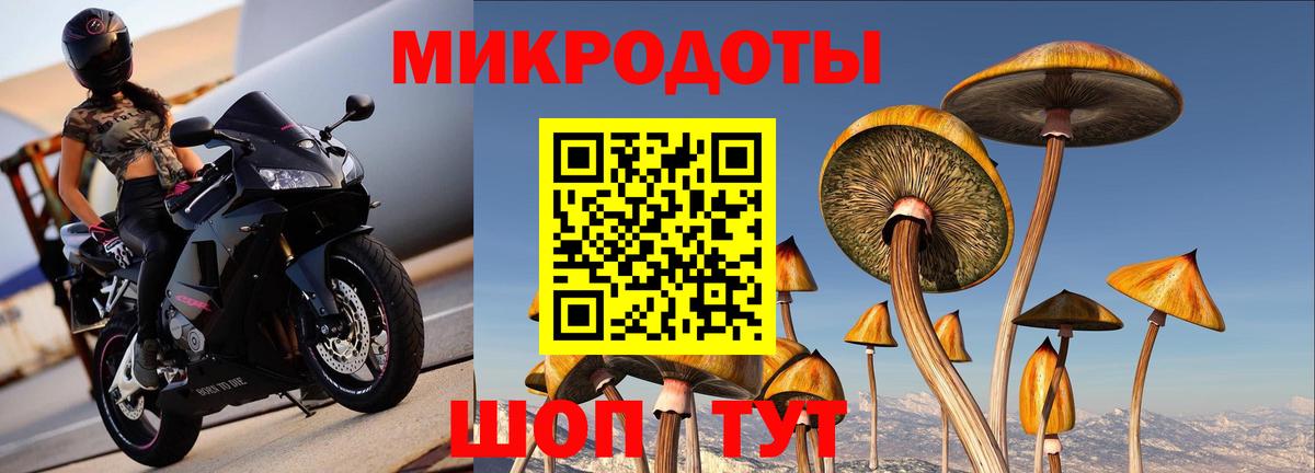 Псилоцибиновые грибы мухоморы Камышлов