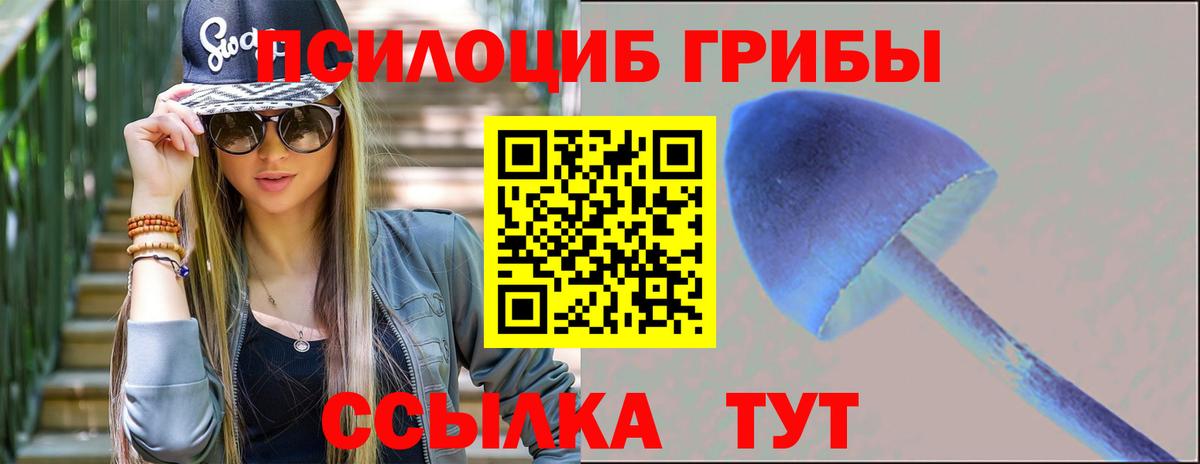 где найти наркотики  Вход с VPN  Камышлов  Галлюциногенные грибы Psilocybe 
