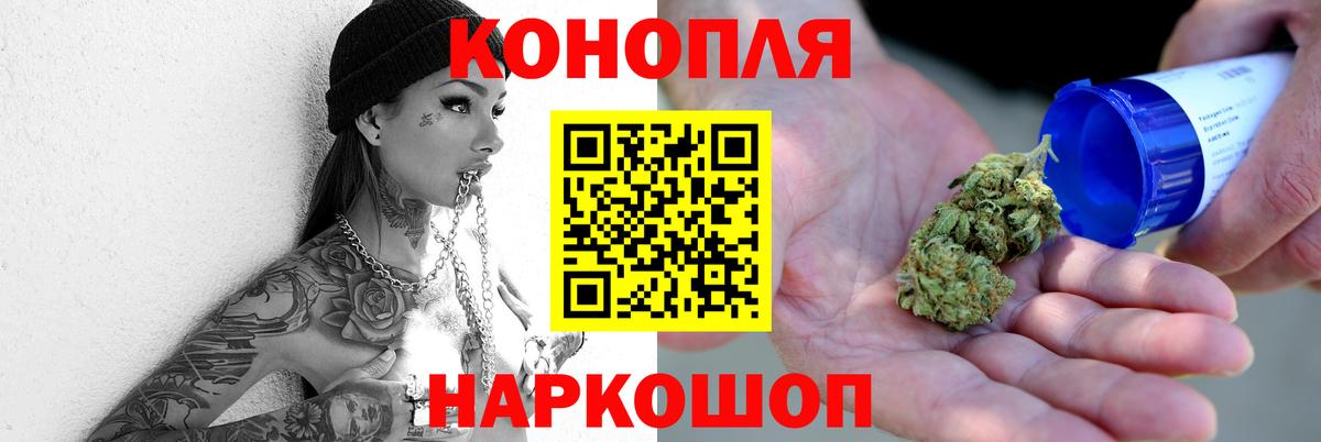 Бошки марихуана конопля Камышлов